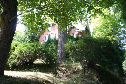 View from the laneway; Susan Schappert, 2007