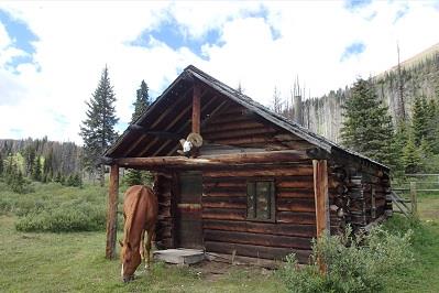View of the Divide Warden Cabin, Banff National Park of Canada, 2016.; Steve Malins, Agence Parcs Canada / Parks Canada Agency, 2016.