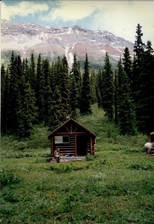 View of the main entrance to the Byng Warden Patrol Cabin, showing the log-framed open porch with trussed-purlin supports and posts at the gable end, 1997.; Parks Canada Agency / Agence Parcs Canada, 1997.
