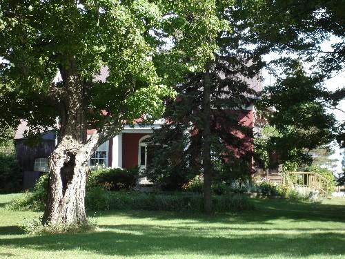 House through the trees; RHI 2006