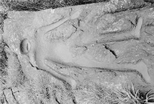 View of a petroglyph at Metlakatla Pass National Historic Site of Canada, 1998.; Agence Parcs Canada / Parks Canada Agency, L. Dick, 1998.