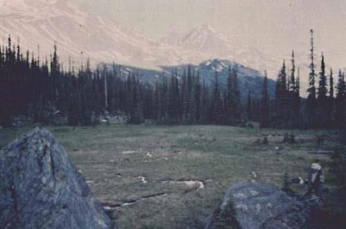 General view of the Athabasca Pass, showing the visual character of the pass, meaning the unimpeded viewscapes of the surrounding mountains and forest, 1998.; Jack Porter, Parcs Canada Agency / Agence Parcs Canada, 1998.