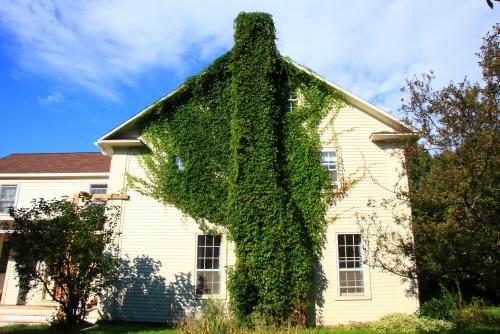 Showing side elevation; Images East Photography, 2008