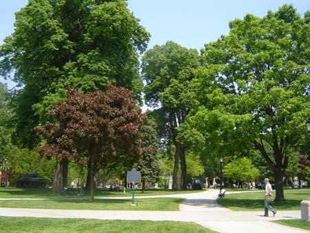 Featured are the tree lined walkways.; Martina Baunstein, 2007.