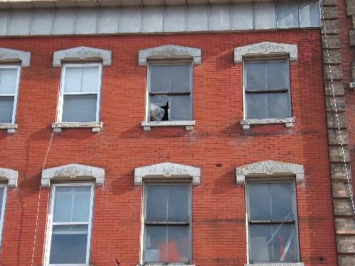 This photograph shows the two upper storeys, 2004; City of Saint John