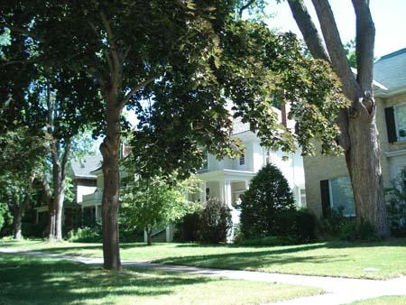 Of note are the large trees that create the district's park-like character.; Kendra Green, 2007.