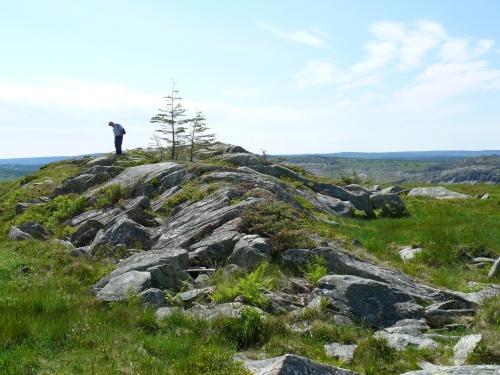View of visitor standing atop Bulger, A Name Rock, searching for engraved names. Photo taken June, 2008; Deborah O'Rielly/ HFNL 2008