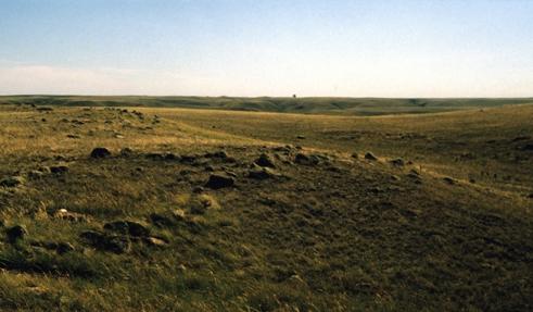 Laidlaw Antelope Trap Provincial Historic Resource, near Bow Valley (August 1984); Alberta Culture and Community Spirit - Royal Alberta Museum, 1984