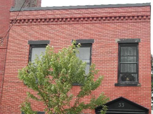 This photograph shows the roof-line with dentils, wood windows, sandstone sills and lintels, 2005; City of Saint John