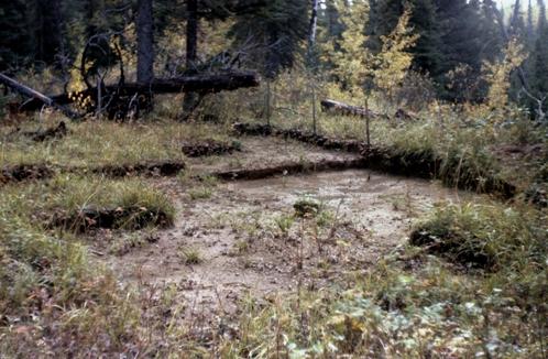 Beaver River Quarry Archaeological Site Provincial Historic Resource, near Fort MacKay (date unknown); Alberta Culture and Community Spirit - Royal Alberta Museum, date unknown