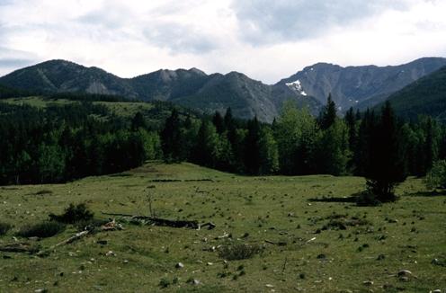 Village of Lille Provincial Historic Resource, Crowsnest Pass (July 1979); Alberta Culture and Community Spirit - Royal Alberta Museum, 1979