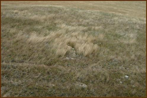 Ward Effigy Archaeological Site, near Cluny; Alberta Culture and Community Spirit, Historic Resources Management Branch