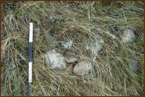 Ward Effigy Archaeological Site, near Cluny; Alberta Culture and Community Spirit, Historic Resources Management Branch