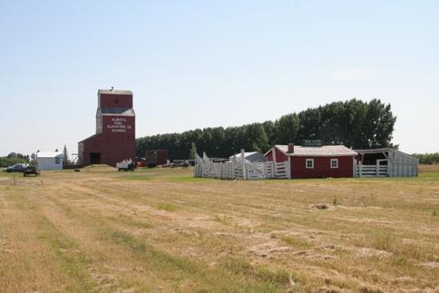 Alberta Wheat Pool Grain Elevator and Bow Slope Stockyard, Scandia; Alberta Culture and Community Spirit, Historic Resources Management Branch