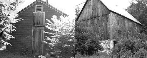 Exterior view of the Massey Farmstead, showing the calving barn on the left and the large barn on the right, 1992.; Parks Canada Agency / Agence Parcs Canada, Historica Resources Ltd., 1992.