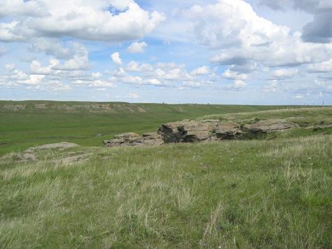 Women's Buffalo Jump Provincial Historic Resource, near Cayley (May 2004); Alberta Culture and Community Spirit, Historic Resources Management