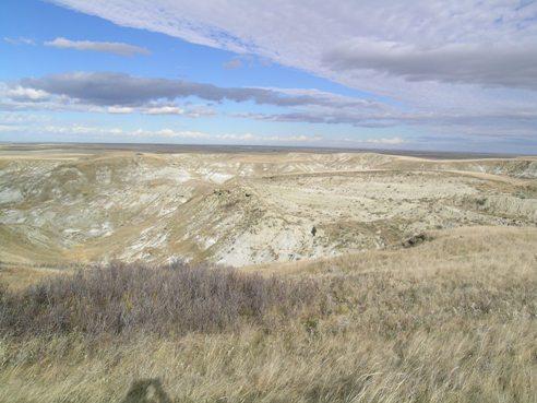 Dinosaur Egg Site Provincial Historic Resource, near Milk River (October 2005); Alberta Culture and Community Spirit, Royal Tyrell Museum of Palaeontology, 2005