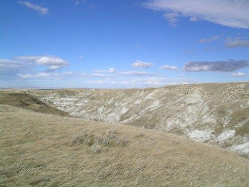 Dinosaur Egg Site Provincial Historic Resource, near Milk River (October 2005); Alberta Culture and Community Spirit, Royal Tyrell Museum of Palaeontology, 2005
