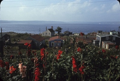 Aerial view of Africville prior to the relocation, ca. 1964.; Library and Archives Canada | Bibliothèque et archives Canada, Ted Grant, Mikan 3596781.