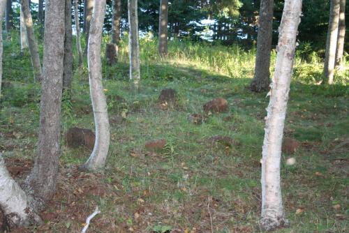 Showing sandstone markers among trees; Donna Collings, 2007