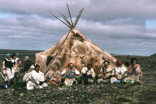 General view of the Qikiqtarjuac site.; Parks Canada /Parcs Canada, n.d.
