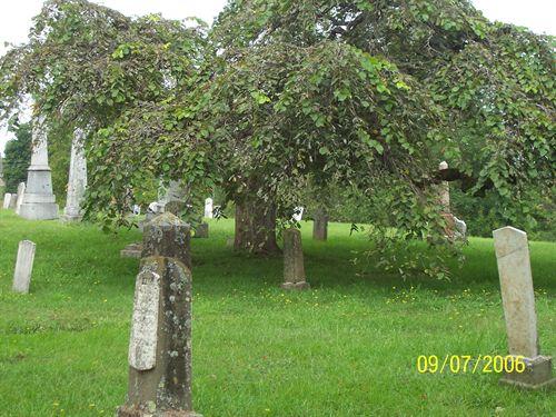 General view, Old Parish Burying Ground, Windsor, NS, 2006.; Windsor-West Hants Joint Planning Advisory Committee, 2006
