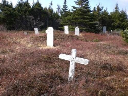 Photo of Salvation Army Cemetery, Arnold's Cove, NL, showing gravemarkers, 2008; Courtesy of Iris Brett, 2008