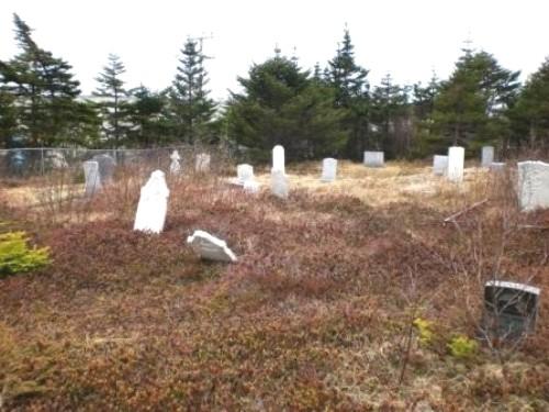 Photo of Second Anglican Cemetery, Arnold's Cove, NL, 2008; Courtesy of Iris Brett, 2008