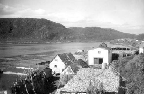 Historic photo showing the Casey Rooms, including Casey Store, Conche, NL, circa 1932; Courtesy of the French Shore Historical Society, 2008