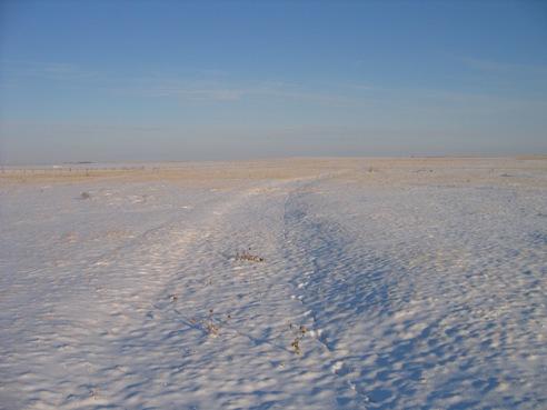 The Leavings at Willow Creek; Alberta Culture and Community Spirit, Historic Resources Management Branch