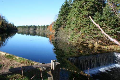 Showing dam and Montague River; Donna Collings, 2007