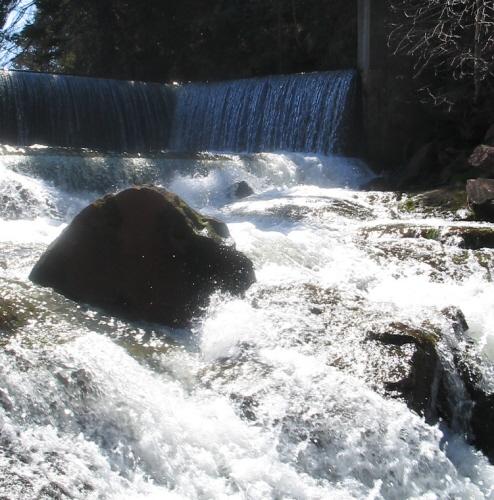Showing rushing water; Donna Collings, 2007