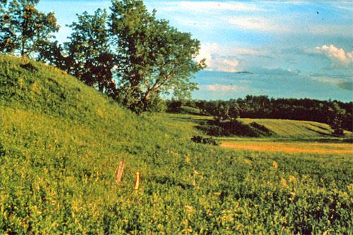 General view of Kay-Nah-Chi-Wah-Nung showing the site’s relative isolation from major development and the health of its ecosystem.; Parks Canada Agency / Agence Parcs Canada, n.d.
