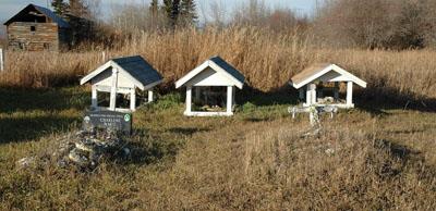 General view of Ste. Anne’s Roman Catholic Cemetery, 2017.; Parks Canada, 2017