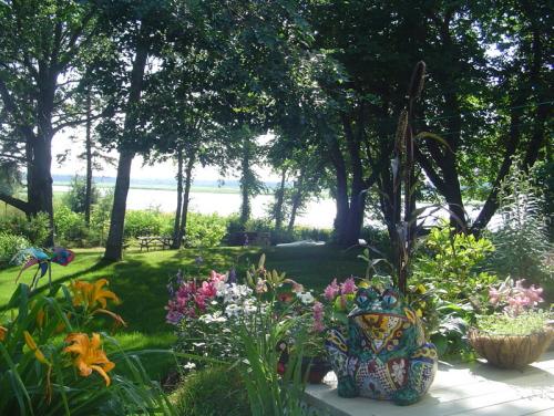 View of river from the backyard; Susan Green, 2006