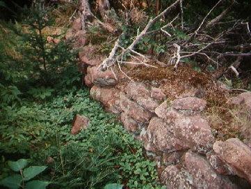 Showing stone fence; Robert Murray, 2008