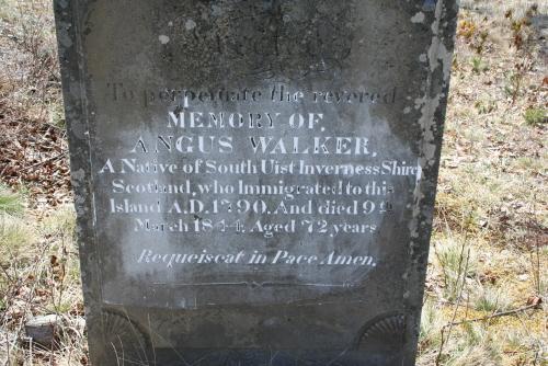 Detail of Walker stone; Donna Collings, 2008