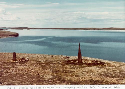 Panoramic view of Whalers' Graves looking out over Balaena Bay; John R. Bockstoce