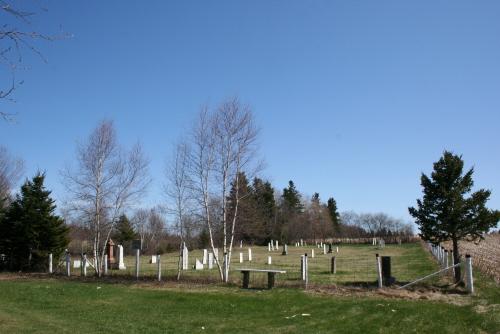 Overview of cemetery; Donna Collings, 2008