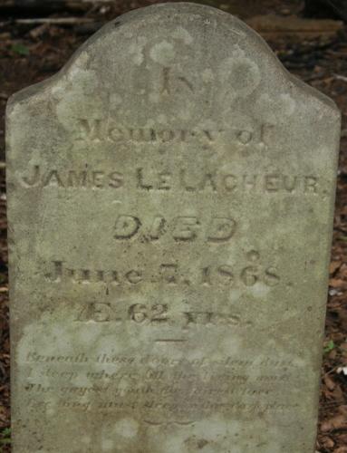 Detail of James LeLacheur stone; Donna Collings, 2008
