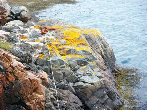 View of the ring-bolt on Hunt's Point, Harbour Breton, NL. Taken 2009. ; Doug Wells 2009