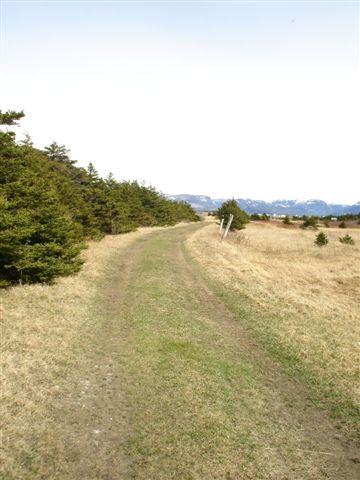 View of St. Paul's Heritage Trail, which passes by Old Anglican Cemetery, St. Paul's NL.; 2009 Town of St. Paul's