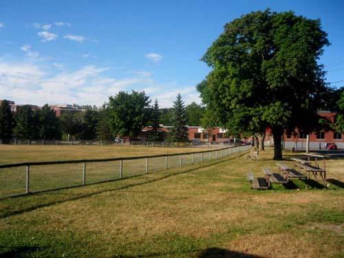 Image of Queen's Square showing bleachers adjacent to the baseball field; City of Fredericton