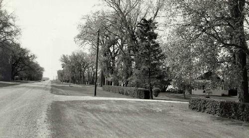 General view of Neubergthal Street Village, showing the single street providing the central orienting spine of the village defined by a straight row of planted trees and fencing.; Parks Canada Agency / Agence Parcs Canada.