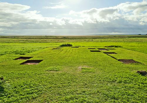 General view of Beaubassin, showing its rural setting on property largely comprised of open hayfields, pastures and marshland.; Parks Canada Agency / Agence Parcs Canada.