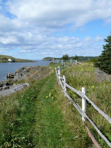 Path leading to St. Matthew's United Church Southside Cemetery, New Perlican, NL. Photo taken 2009. ; HFNL/Andrea O'Brien 2009