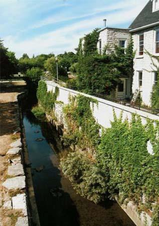 Of note is the race's proximity to prominent downtown buildings.; Gord Strathdee, 2007.