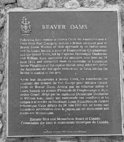 General view of the Battle of Beaver Dams, showing the plaque, 1989.; Parks Canada Agency / Agence Parcs Canada, 1989.