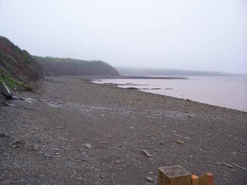 Joggins Fossil Cliffs looking southwest towards the Springhill Mines and Ragged Reef geological formations.; Heritage Division, NS Dept. of Tourism, Culture and Heritage, 2009.