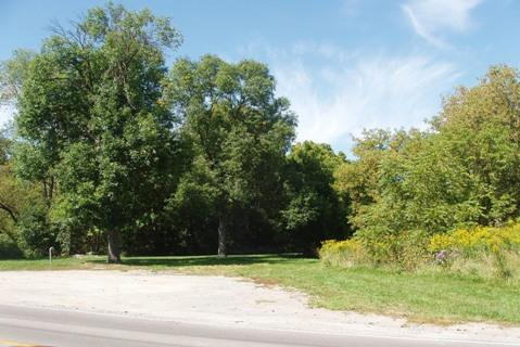 Stickwood Brickyard and Wetlands; Heritage Newmarket